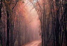 DeFi Token Performance & Investor Trends Post-October Crash: What's Actually Happening & Who's Foolish Enough to Stay?