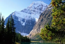 DeFi Token Performance & Investor Trends Post-October Crash: What's Actually Happening & Who's Foolish Enough to Stay?